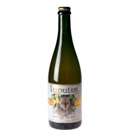 Bière Lupulus 75 cl - Bière Belge