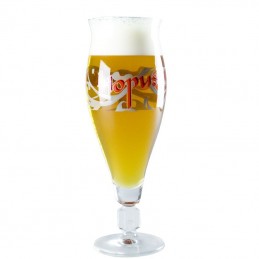 Verre à bière Hopus 33 cl - Brasserie Lefebvre