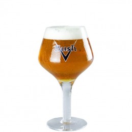 Verre à Bière Bush - Brasserie Dubuisson