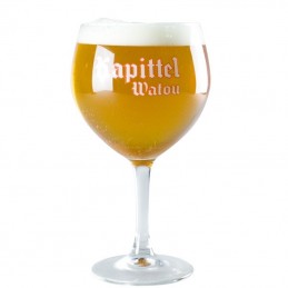 Verre à Bière Kapittel 50 cl - Brasserie Van Eecke