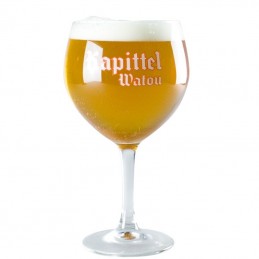 Verre à Bière Kapittel 50 cl - Brasserie Van Eecke