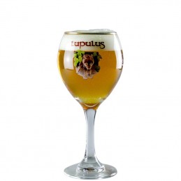 Verre à Bière Lupulus 25 cl - Brasserie Lupulus