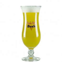 Verre à bière Peche Mel Bush - Brasserie Dubuisson