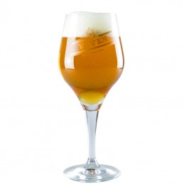 Verre à bière Viven de la Brasserie Van Viven