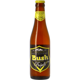 Bush Blonde 10.5° 33 cl : Bière Belge