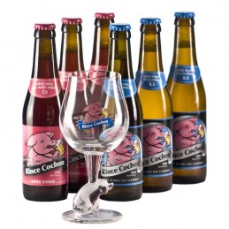 Lot de 6 bouteilles de Rince Cochon + 1 verre. Bière de saveur