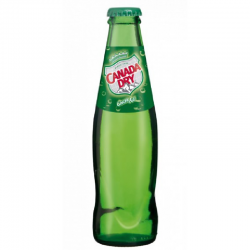 Caisse Canada Dry 24X20 cl V.C- Boisson gazeuse