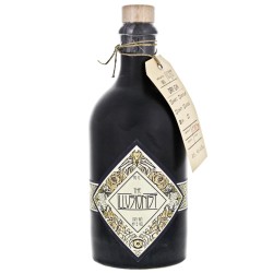 The Illusionist Dry Gin 45° 50 cl